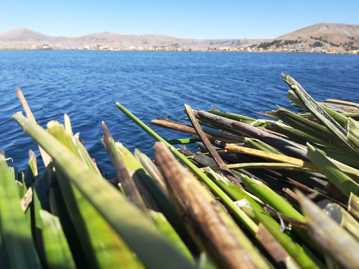 Quechua Lodge Titicaca Puno Esterno foto